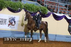 18YN_11122 proof