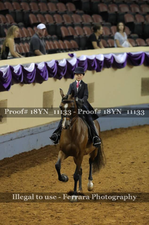 Proof 18YN_11133
