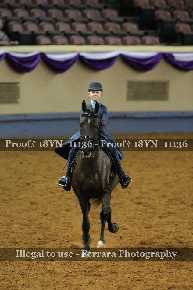 Proof 18YN_11136
