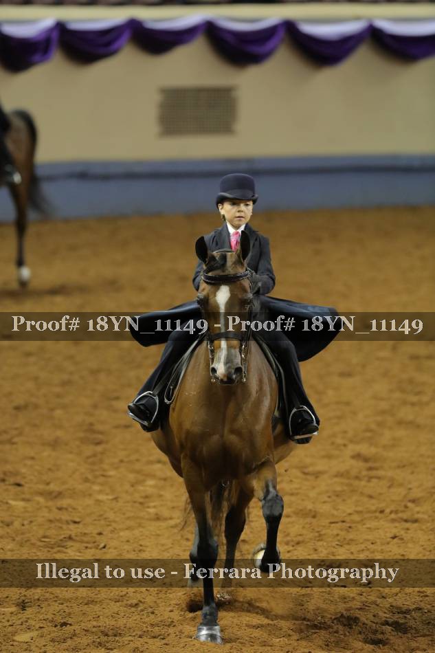 Proof 18YN_11149