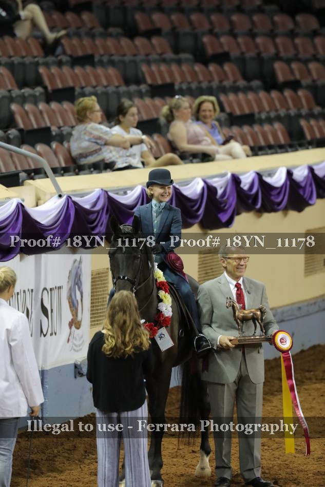 Proof 18YN_11178