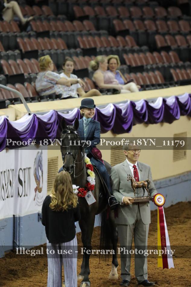 Proof 18YN_11179