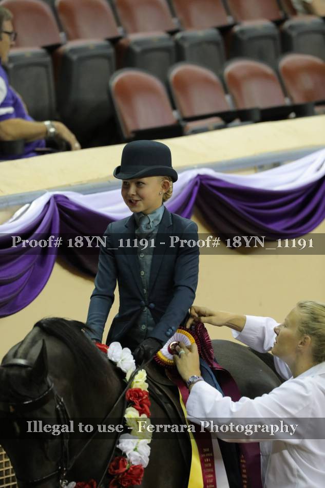 Proof 18YN_11191