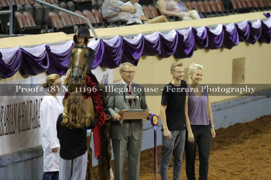 Proof 18YN_11196