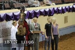 18YN_11196 proof