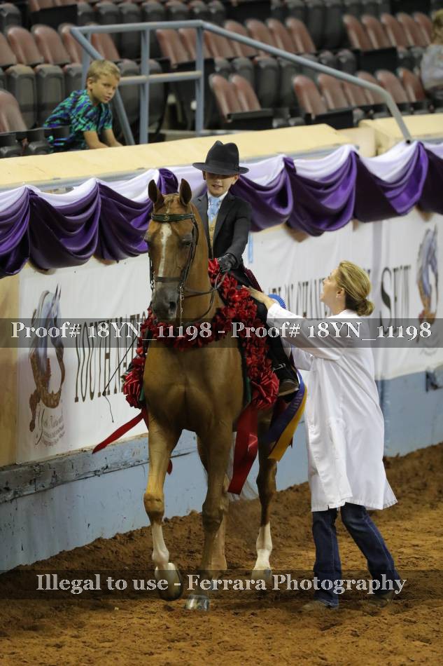Proof 18YN_11198