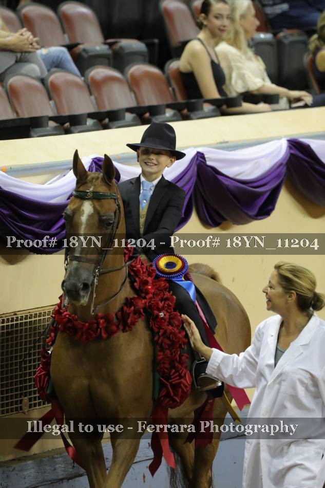 Proof 18YN_11204