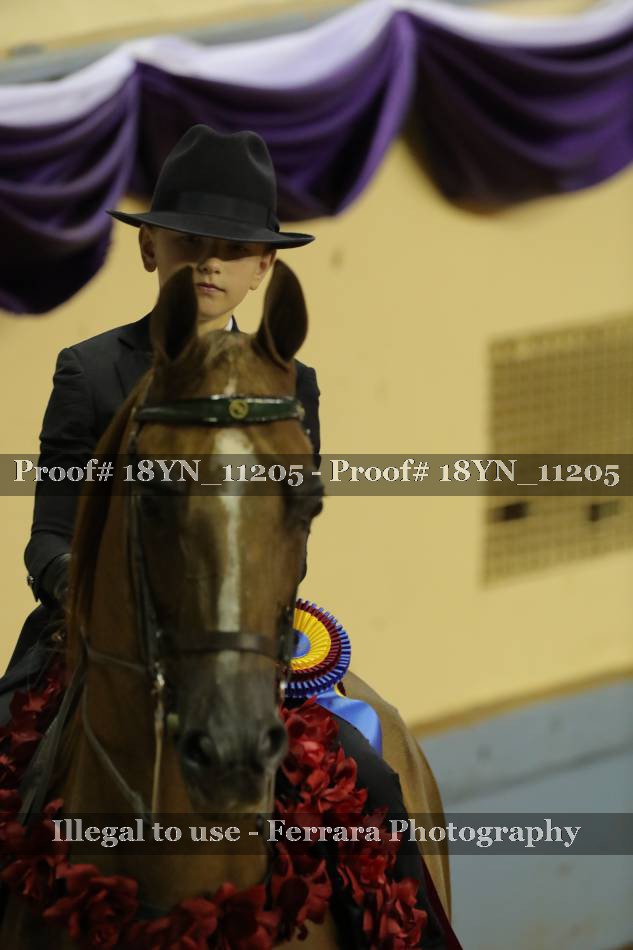 Proof 18YN_11205
