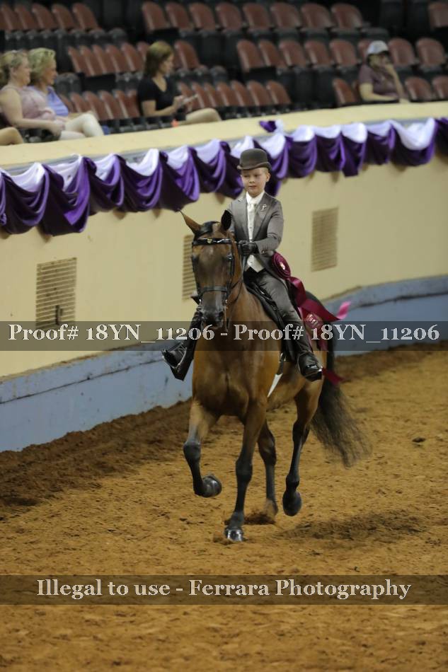 Proof 18YN_11206