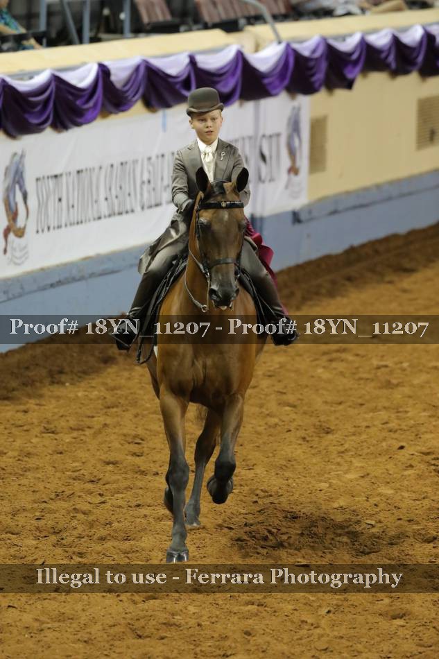 Proof 18YN_11207