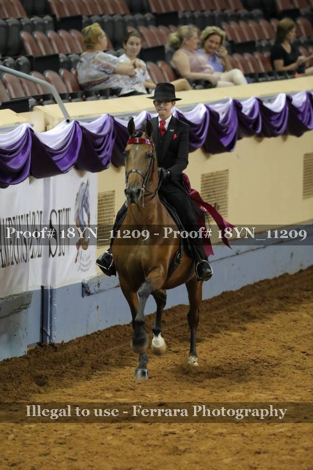 Proof 18YN_11209