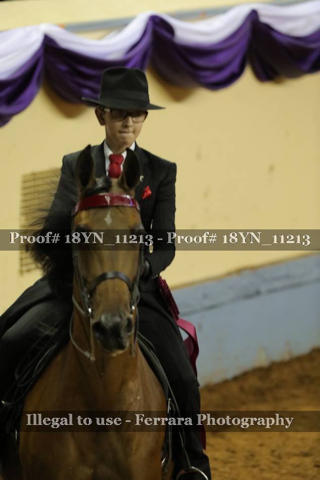Proof 18YN_11213