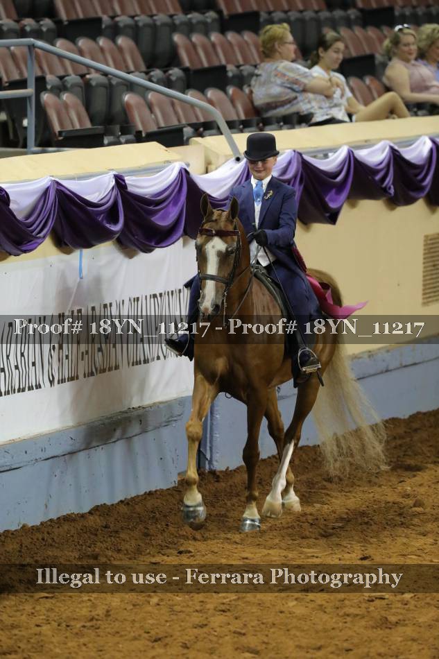Proof 18YN_11217