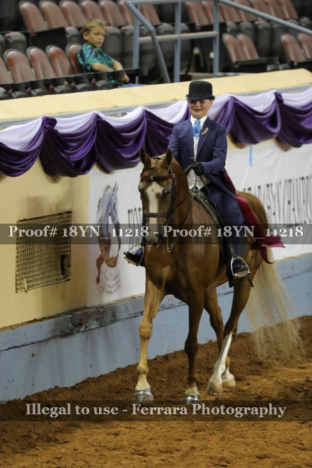 Proof 18YN_11218