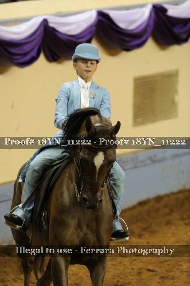 Proof 18YN_11222