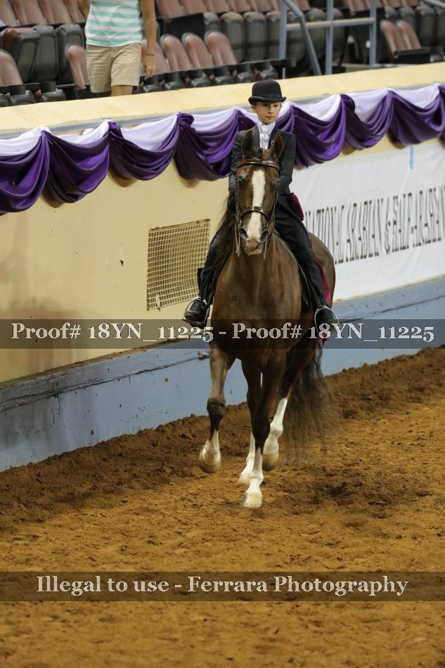 Proof 18YN_11225
