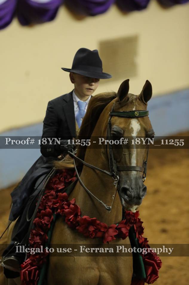 Proof 18YN_11255
