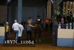 18YN_11264 proof