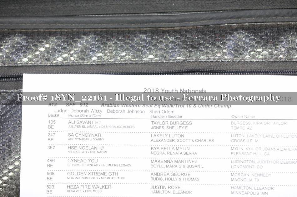 Proof 18YN_22161