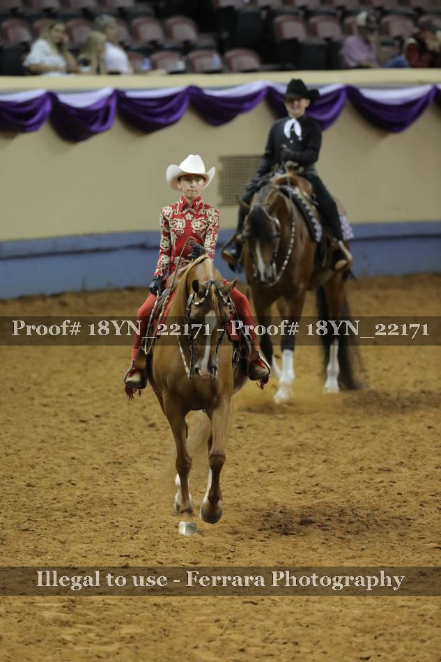 Proof 18YN_22171