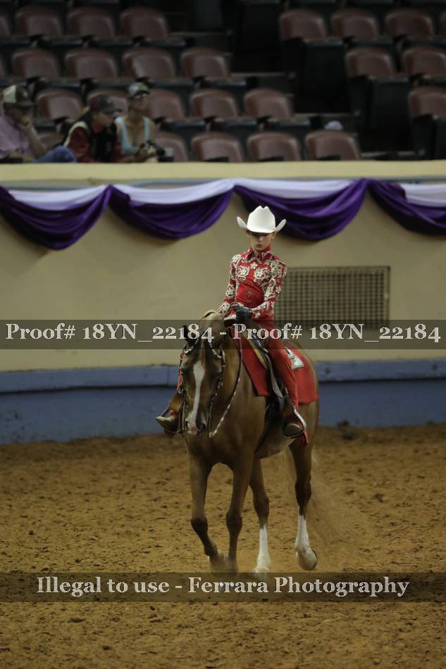 Proof 18YN_22184