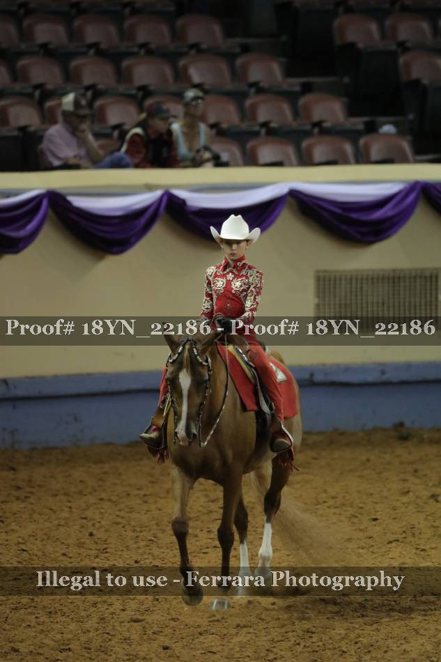 Proof 18YN_22186