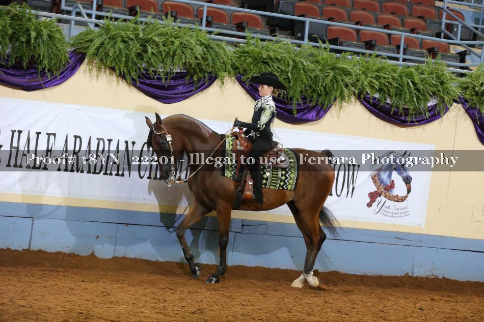 Proof 18YN_22201