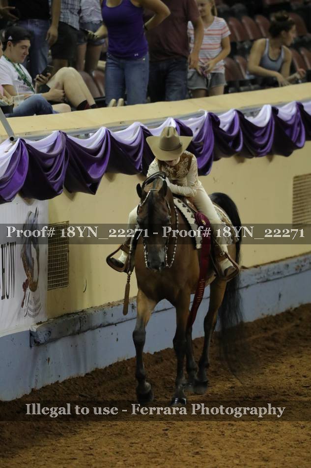 Proof 18YN_22271