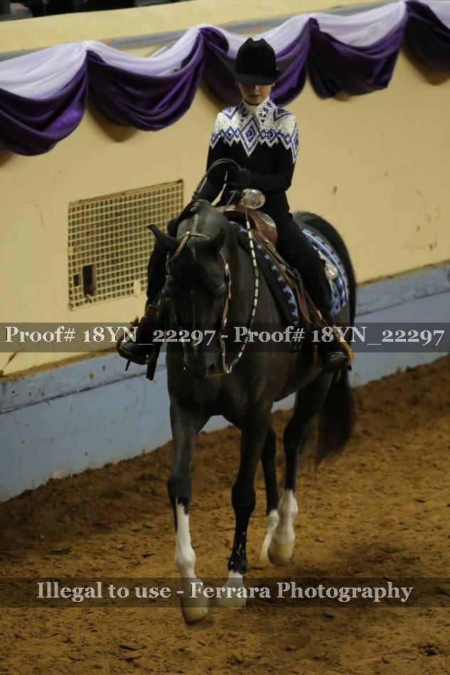 Proof 18YN_22297