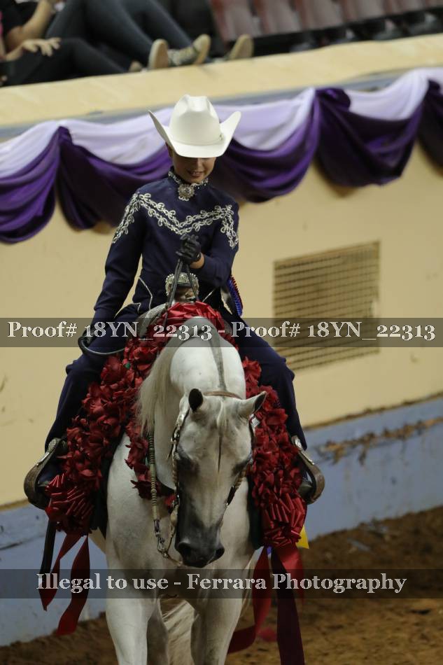 Proof 18YN_22313