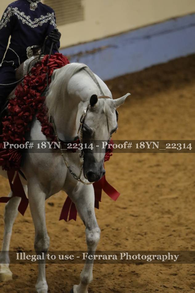Proof 18YN_22314