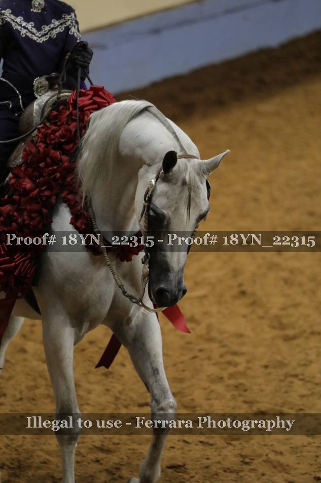 Proof 18YN_22315