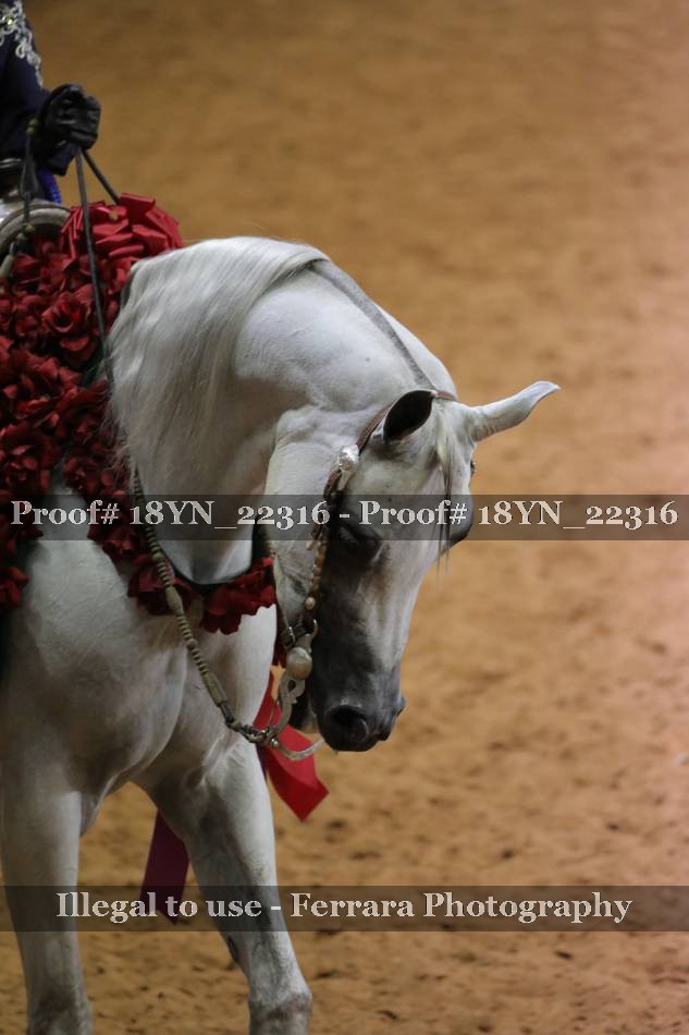 Proof 18YN_22316