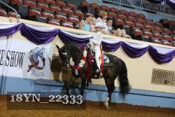 18YN_22333 proof
