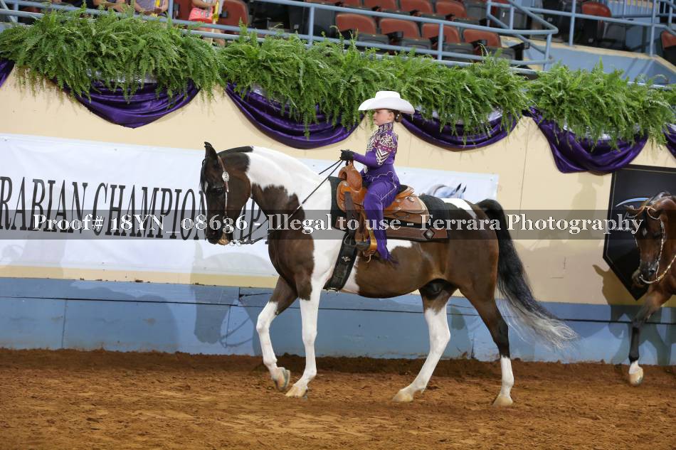 Proof 18YN_08636