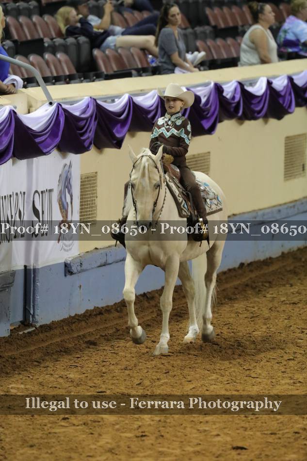 Proof 18YN_08650