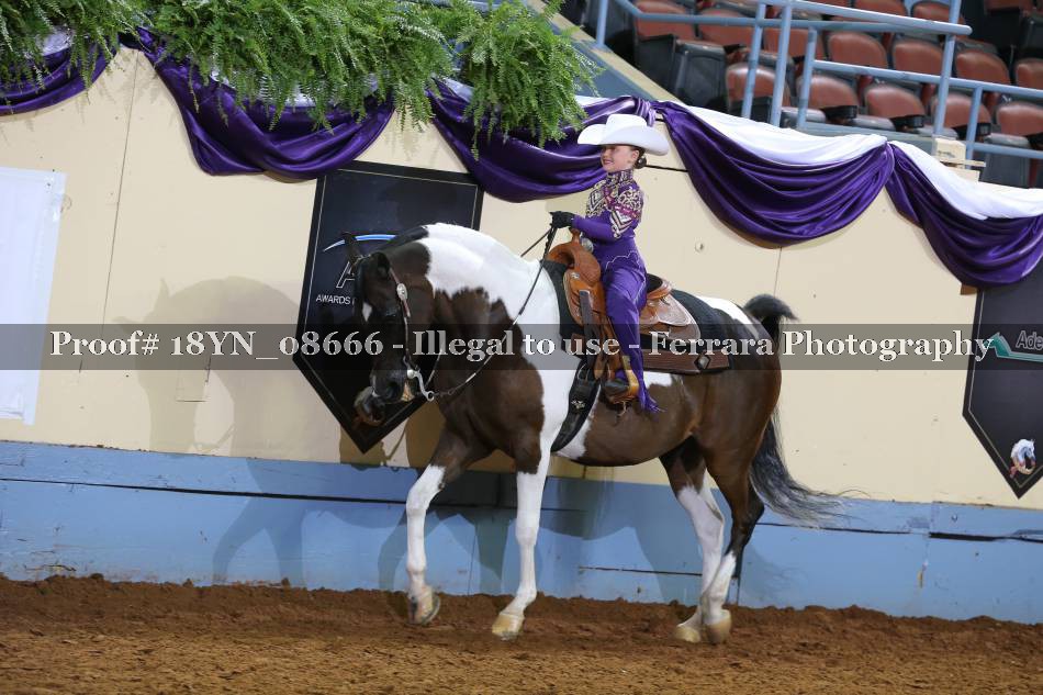 Proof 18YN_08666