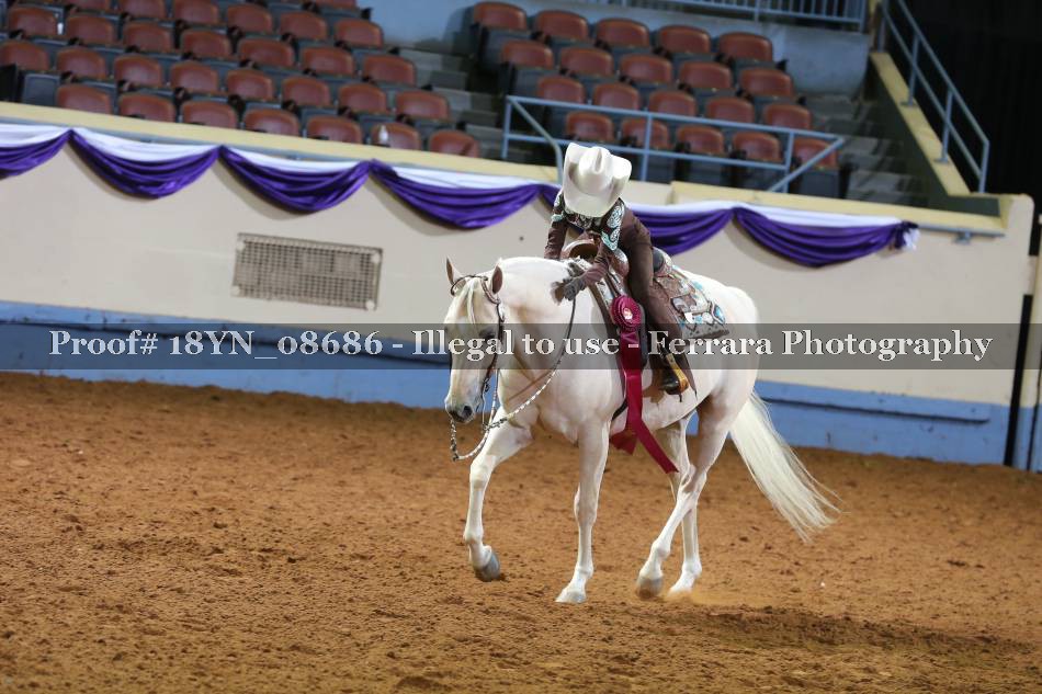 Proof 18YN_08686
