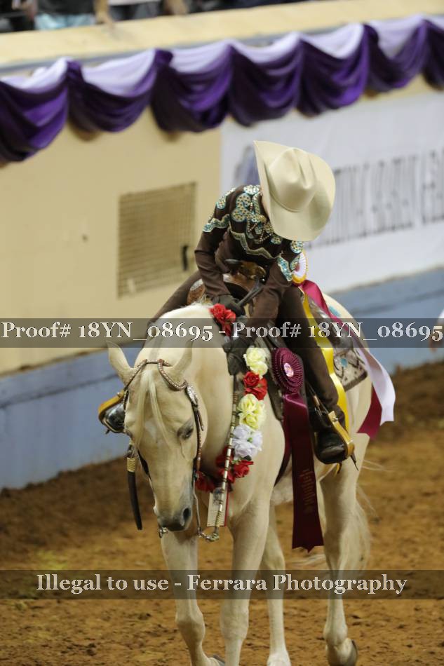 Proof 18YN_08695