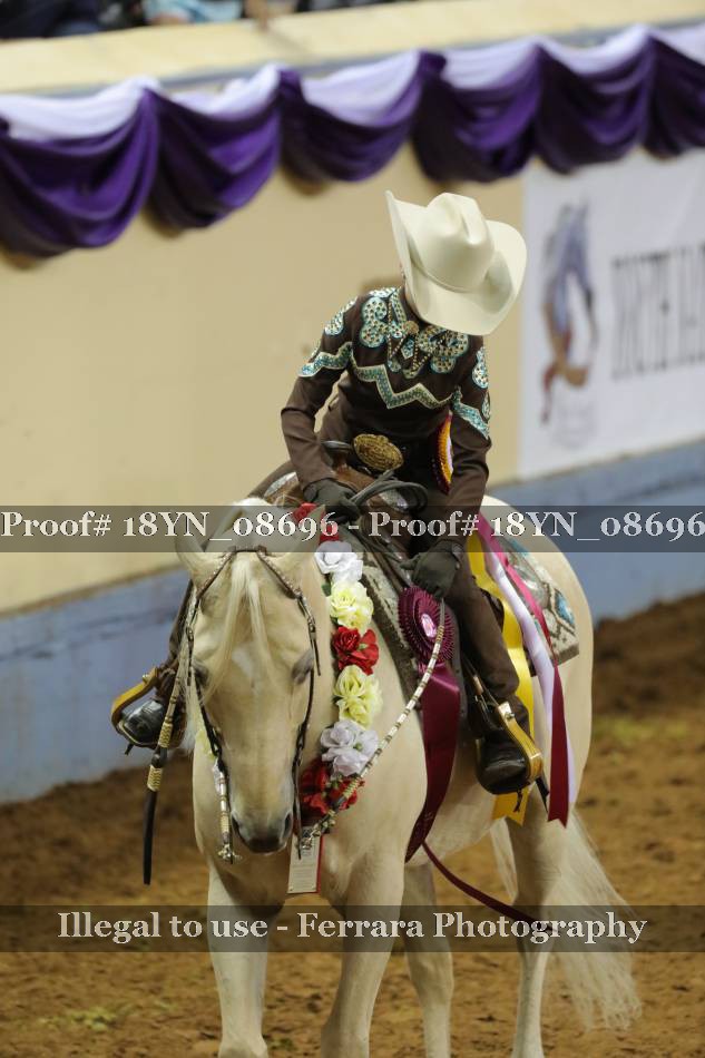 Proof 18YN_08696