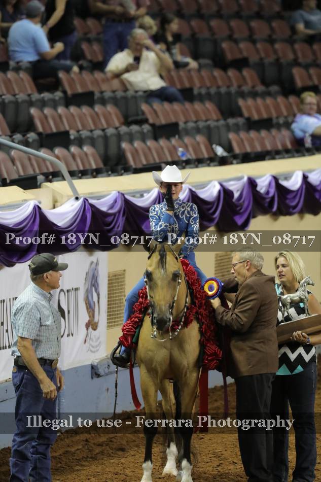 Proof 18YN_08717
