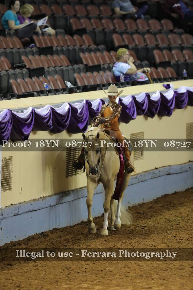 Proof 18YN_08727