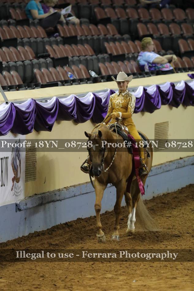 Proof 18YN_08728