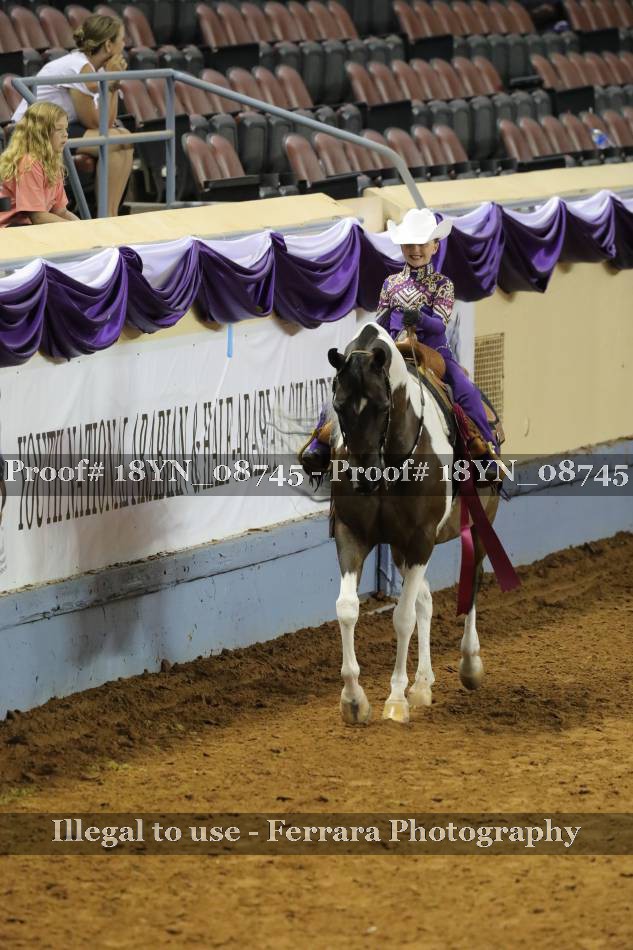 Proof 18YN_08745