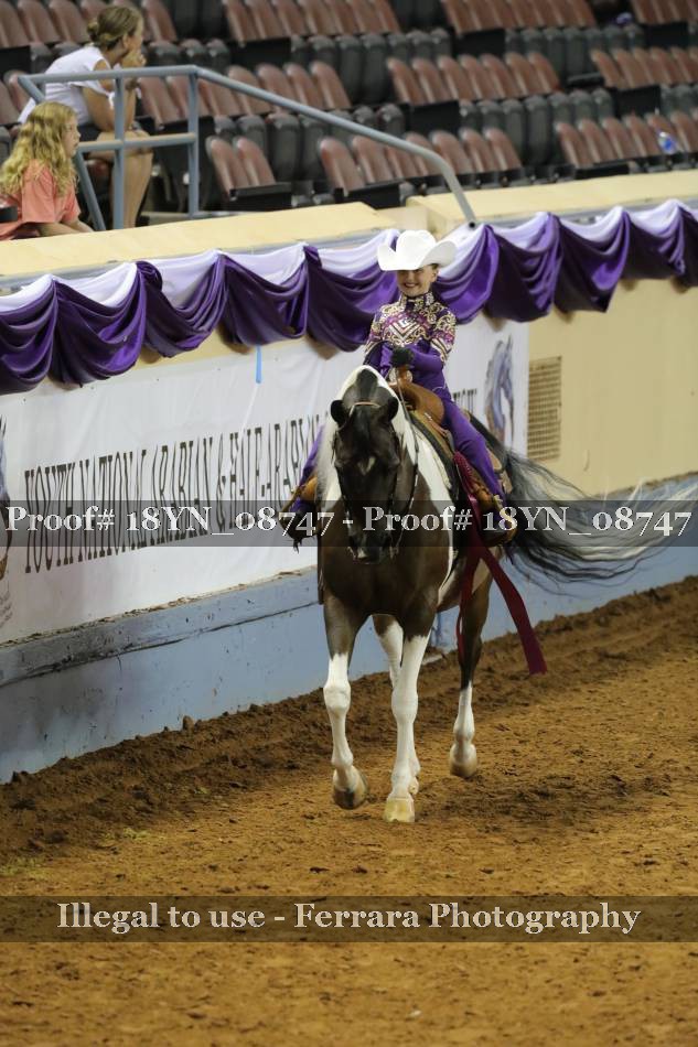 Proof 18YN_08747