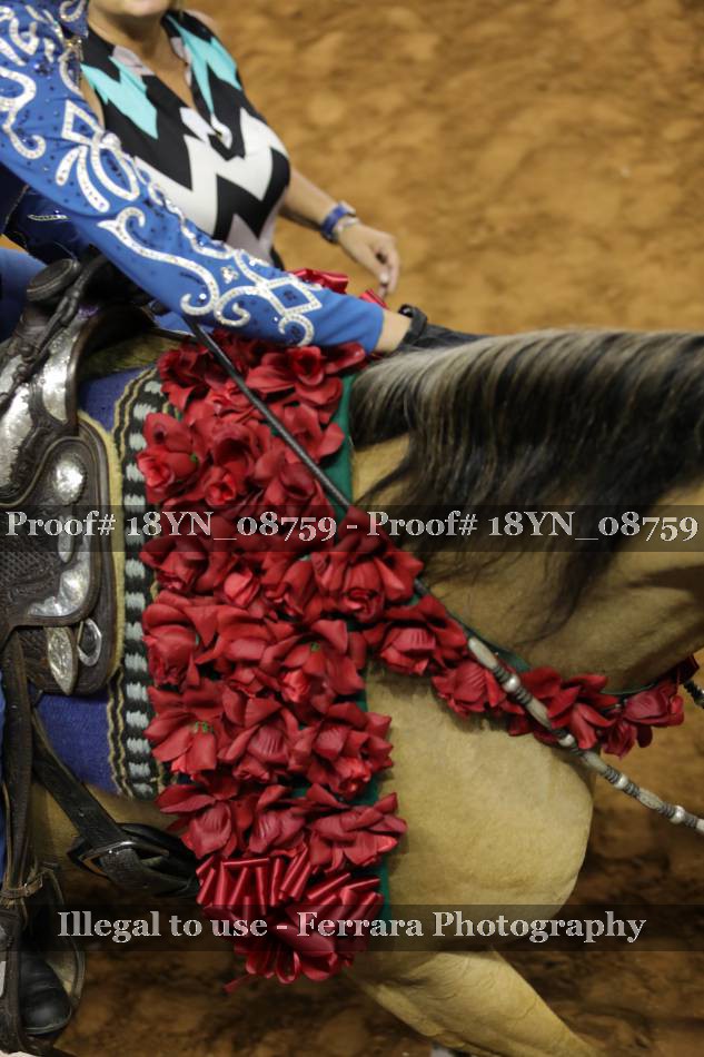 Proof 18YN_08759