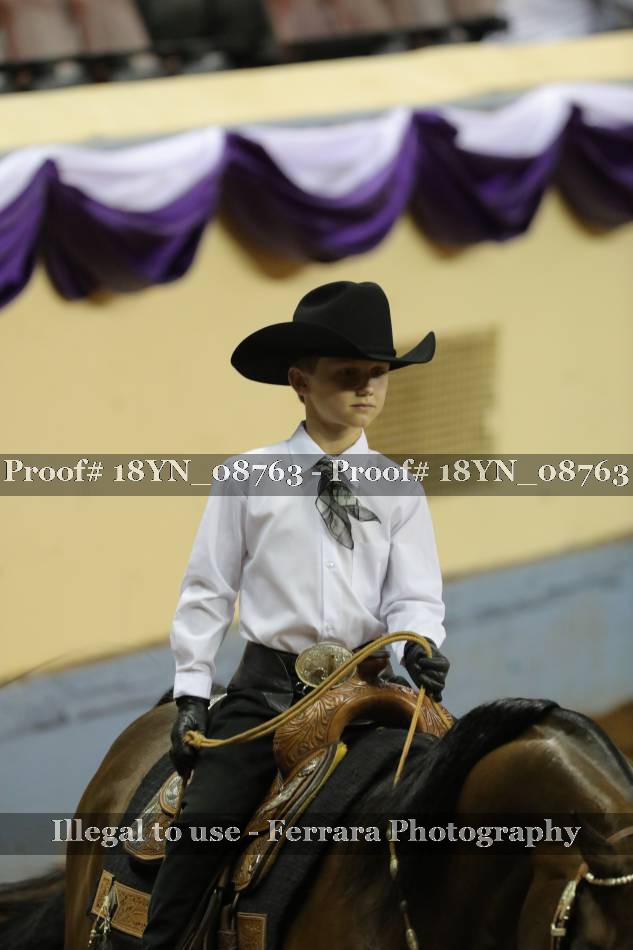 Proof 18YN_08763