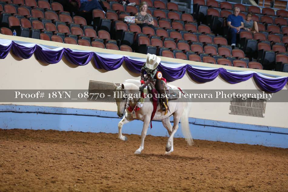 Proof 18YN_08770
