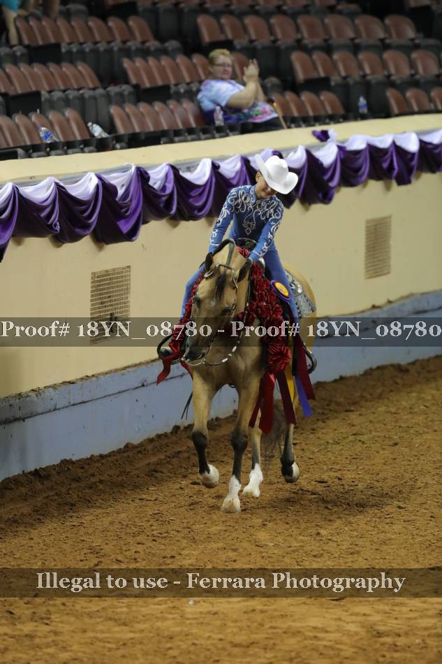 Proof 18YN_08780