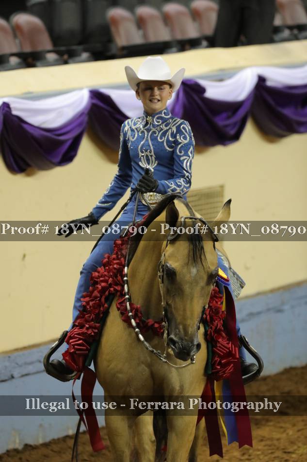 Proof 18YN_08790